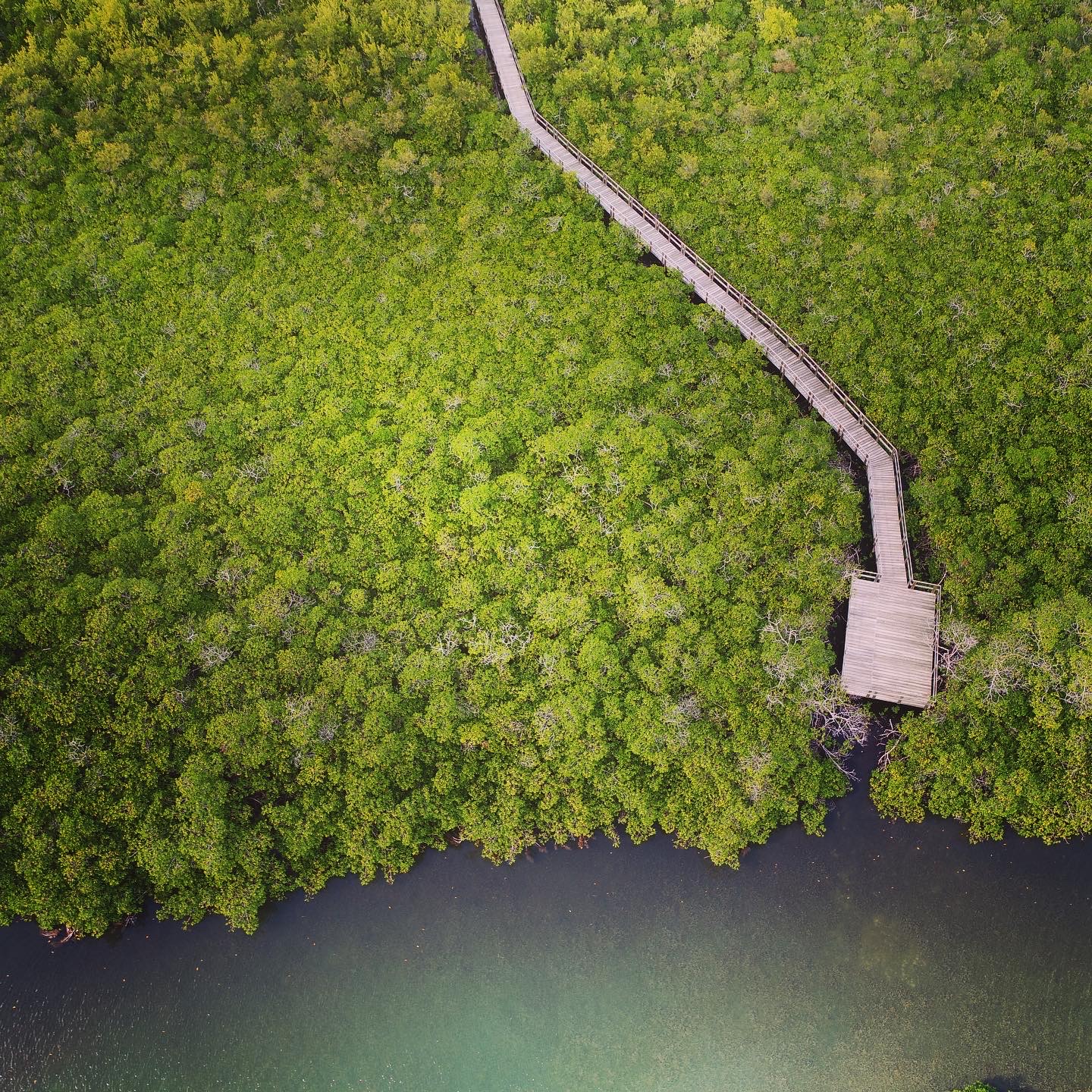 Old Point Mangrove Regional Natural Park