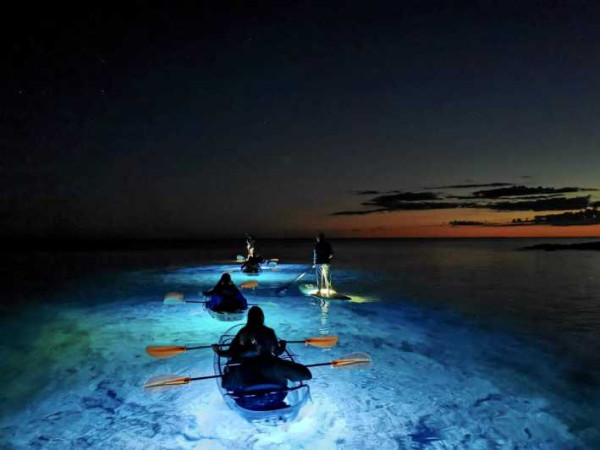 Recorrido en Kayak Transparente Nocturno